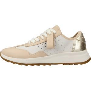  DASHLITE LACE