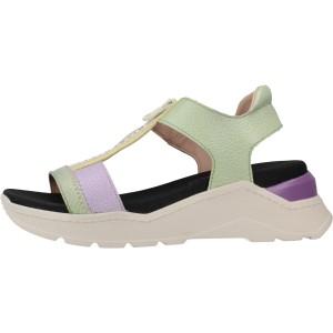  GRAZIA-V23