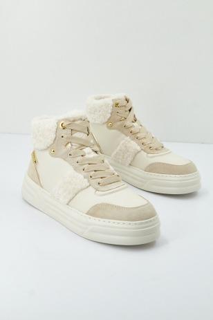 CLEO 22 WARM