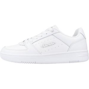 PANARO CUPSOLE 