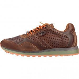 C848NAT INV23
