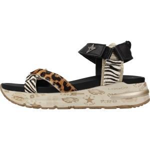 C1297ZEBRA 